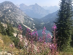 Maple Heather Trail, WA